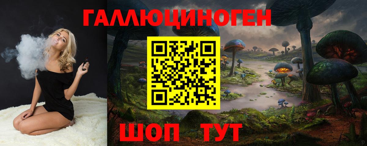 Псилоцибиновые грибы мухоморы  Вход с VPN  Прохладный  Галлюциногенные грибы Psilocybe 